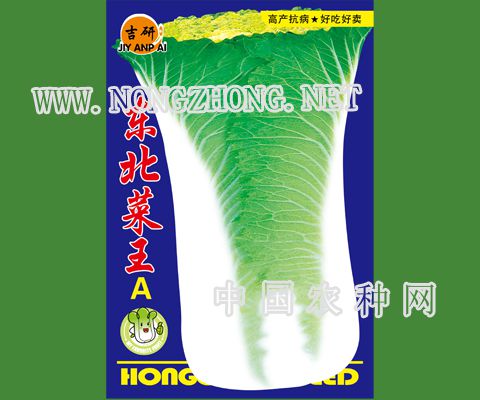 东北菜王A